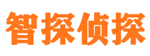 麦积区外遇调查取证